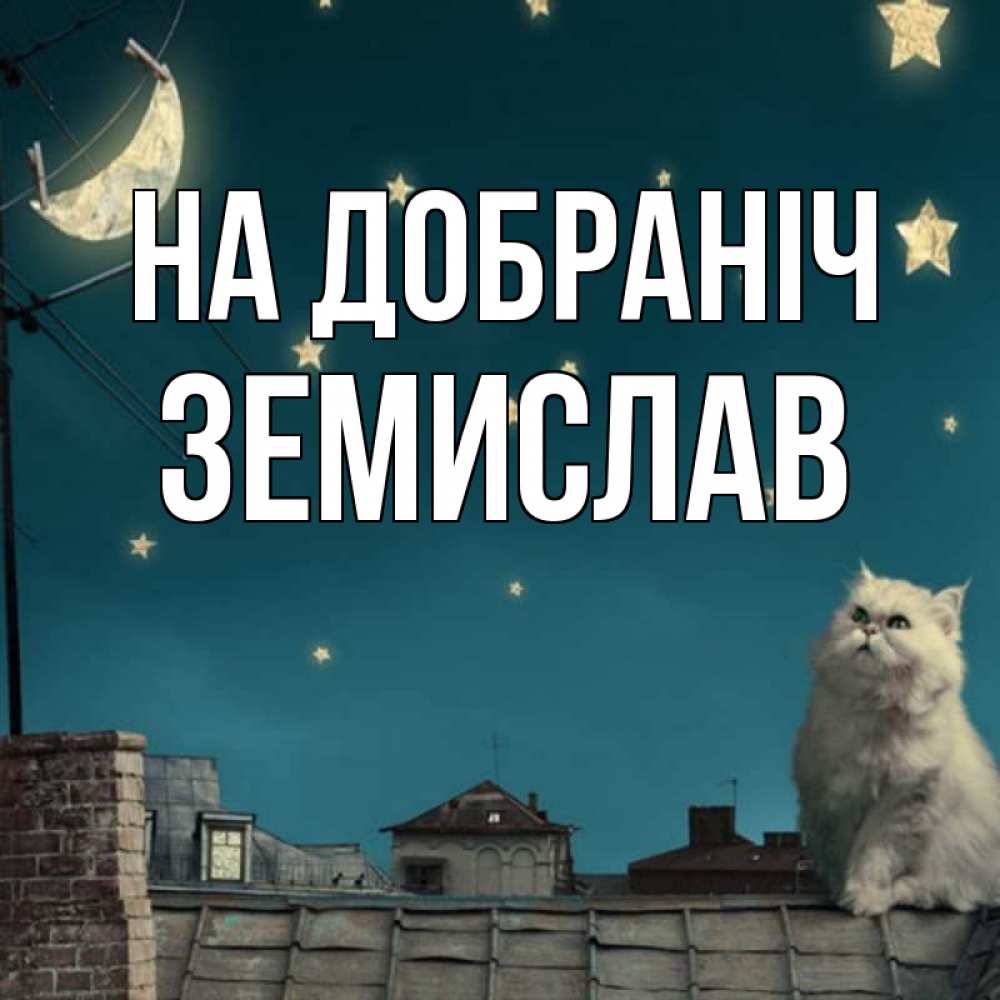 Открытка на каждый день з підписом, Земислав На добраніч белый кот сидит на крыше Прикольна листівка з побажанням онлайн скачати безкоштовно 