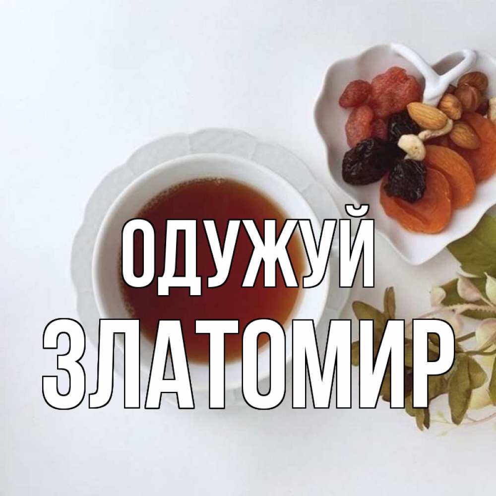 Открытка на каждый день з підписом, Златомир Одужуй неизвестные растения Прикольна листівка з побажанням онлайн скачати безкоштовно 