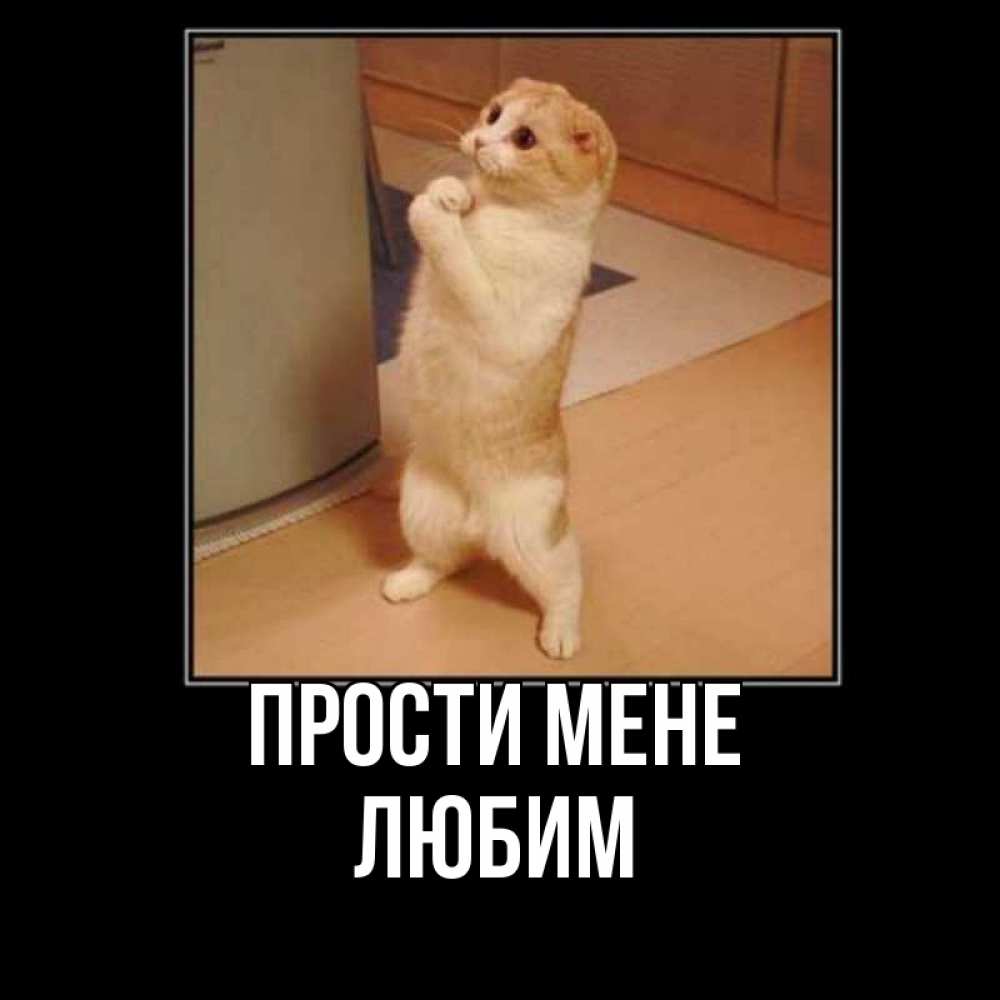 Открытка на каждый день з підписом, Любим Прости мене открытка с милым несчастным котиком просящим прощения Прикольна листівка з побажанням онлайн скачати безкоштовно 