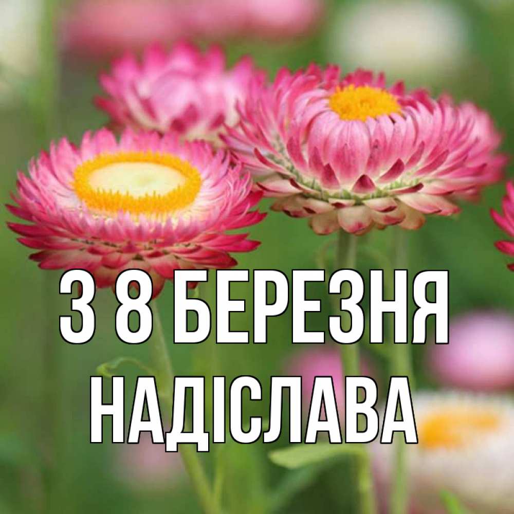Открытка на каждый день з підписом, Надіслава З 8 БЕРЕЗНЯ подарок на международный женский день Прикольна листівка з побажанням онлайн скачати безкоштовно 