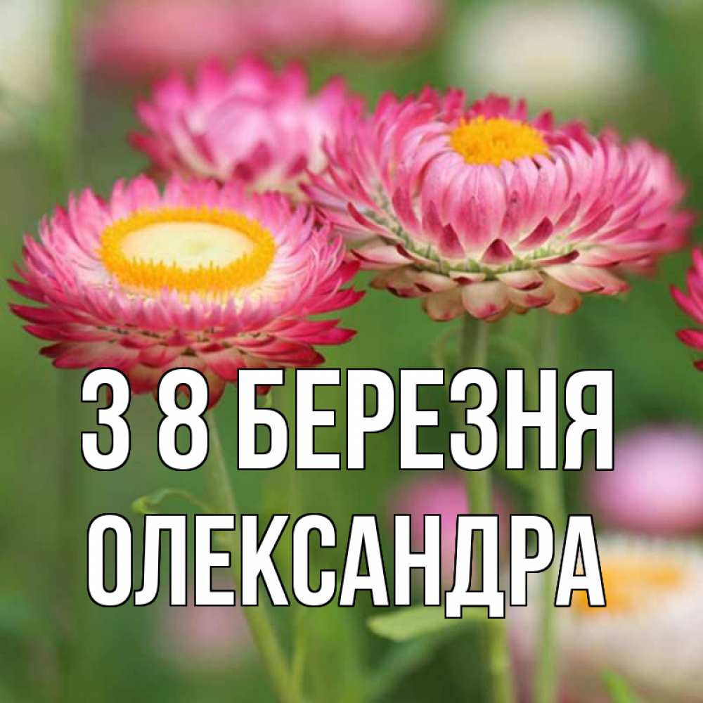 Открытка на каждый день з підписом, Олександра З 8 БЕРЕЗНЯ подарок на международный женский день Прикольна листівка з побажанням онлайн скачати безкоштовно 