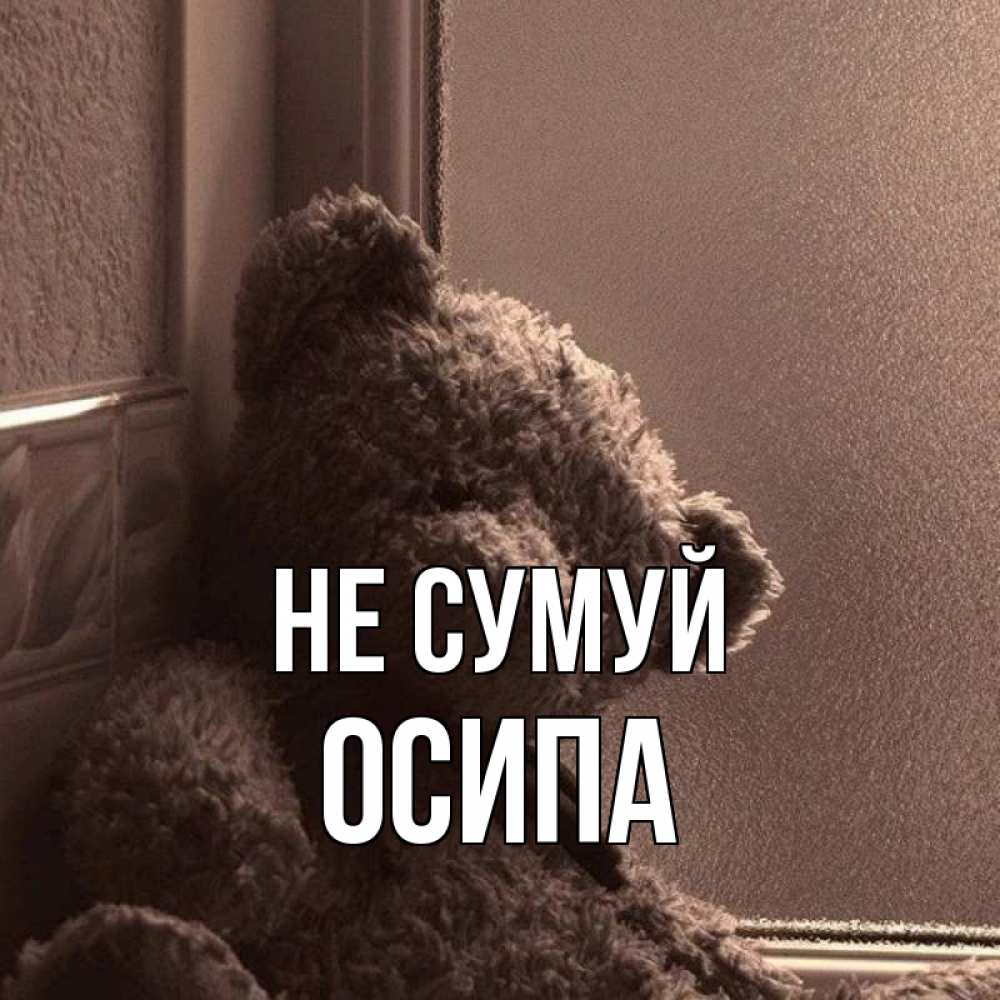 Открытка на каждый день з підписом, Осипа Не сумуй стекол рефленое Прикольна листівка з побажанням онлайн скачати безкоштовно 