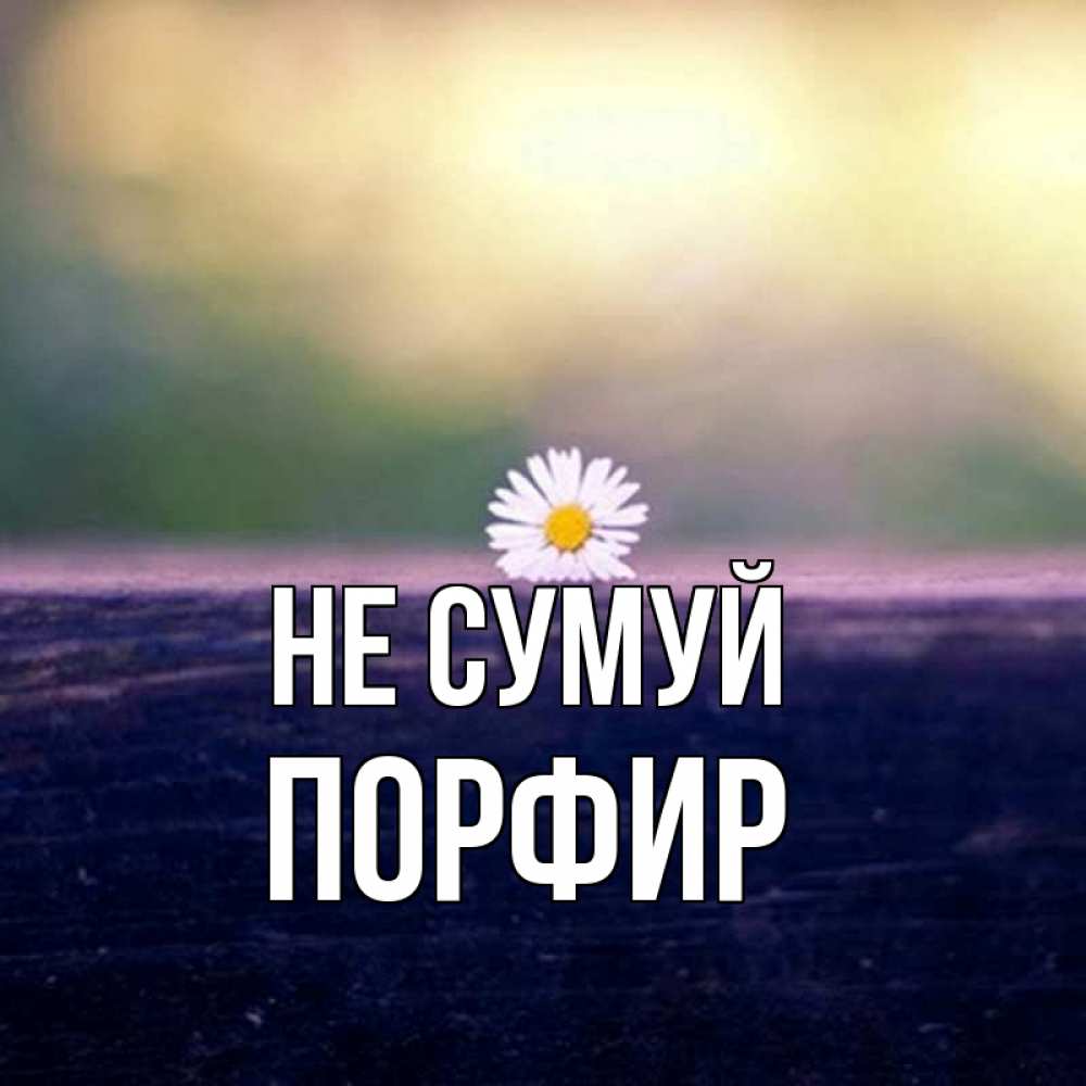 Открытка на каждый день з підписом, Порфир Не сумуй красота Прикольна листівка з побажанням онлайн скачати безкоштовно 