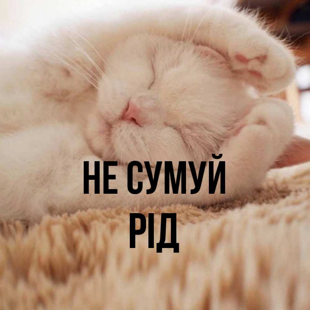 Открытка на каждый день з підписом, Рід Не сумуй Котенок спит Прикольна листівка з побажанням онлайн скачати безкоштовно 