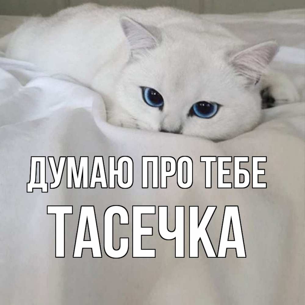 Открытка на каждый день з підписом, Тасечка Думаю про тебе я очень по тебе скучаю и тоскую Прикольна листівка з побажанням онлайн скачати безкоштовно 