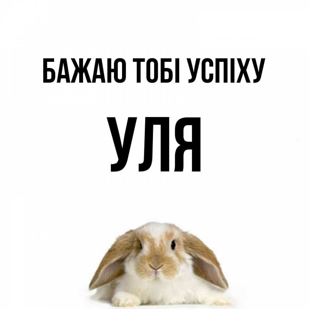 Открытка на каждый день з підписом, Уля Бажаю тобі успіху открытки с произвольным текстом который можно вставить в открытку и создать ее самостоятельно бесплатно онлайн Прикольна листівка з побажанням онлайн скачати безкоштовно 