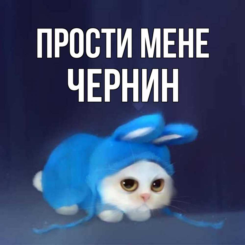 Открытка на каждый день з підписом, Чернин Прости мене невинный котозай просит прощения Прикольна листівка з побажанням онлайн скачати безкоштовно 
