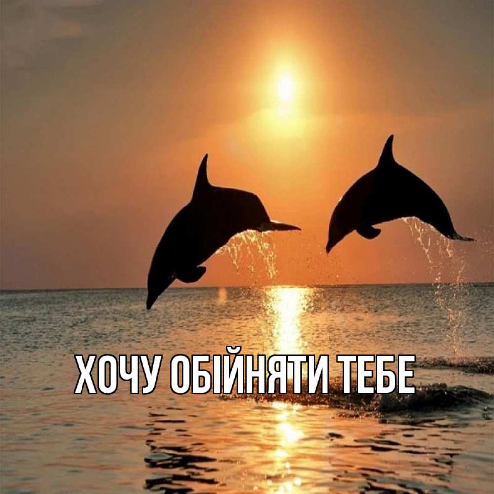 Открытка на каждый день з підписом, выберите-имя Хочу обійняти тебе рыбы на закате Прикольна листівка з побажанням онлайн скачати безкоштовно 