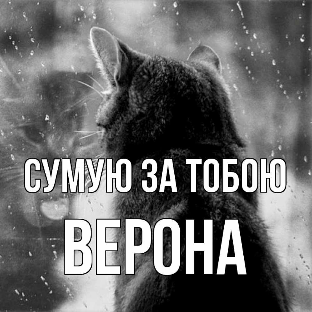 Открытка на каждый день з підписом, Верона Сумую за тобою скорее ко мне приходи 1 Прикольна листівка з побажанням онлайн скачати безкоштовно 
