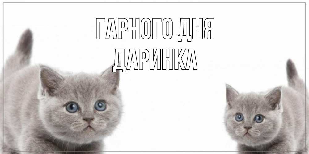 Открытка на каждый день з підписом, Даринка Гарного дня открытка с котами Прикольна листівка з побажанням онлайн скачати безкоштовно 