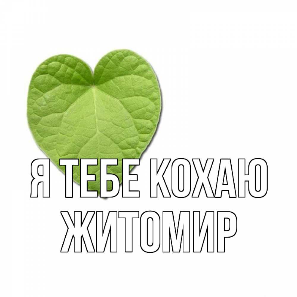 Открытка на каждый день з підписом, Житомир Я тебе кохаю тебе Прикольна листівка з побажанням онлайн скачати безкоштовно 
