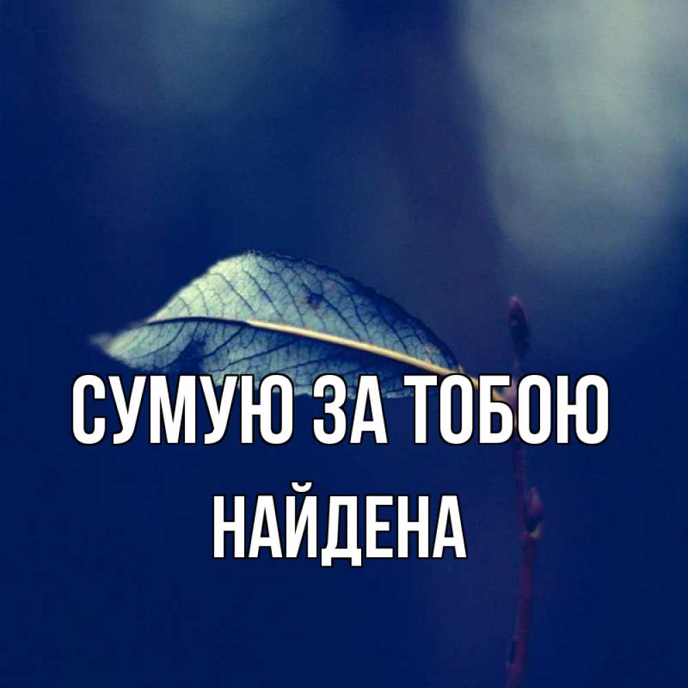 Открытка на каждый день з підписом, Найдена Сумую за тобою одна ветка 1 Прикольна листівка з побажанням онлайн скачати безкоштовно 