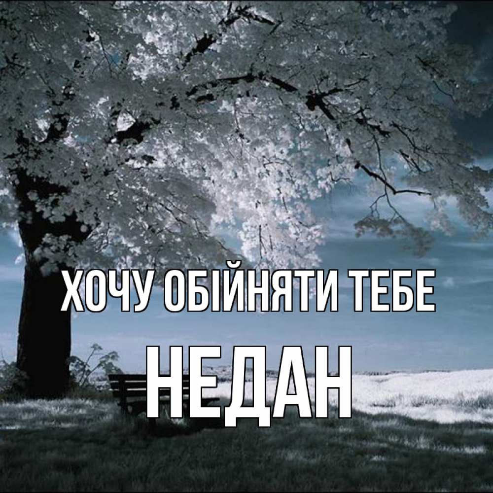 Открытка на каждый день з підписом, Недан Хочу обійняти тебе дерево Прикольна листівка з побажанням онлайн скачати безкоштовно 