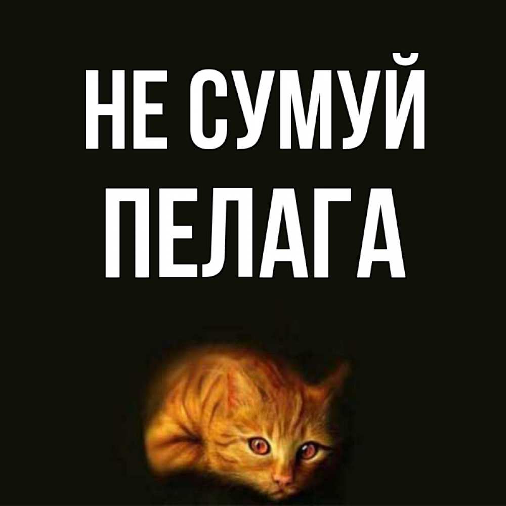 Открытка на каждый день з підписом, Пелага Не сумуй лежащий кот в темноте Прикольна листівка з побажанням онлайн скачати безкоштовно 