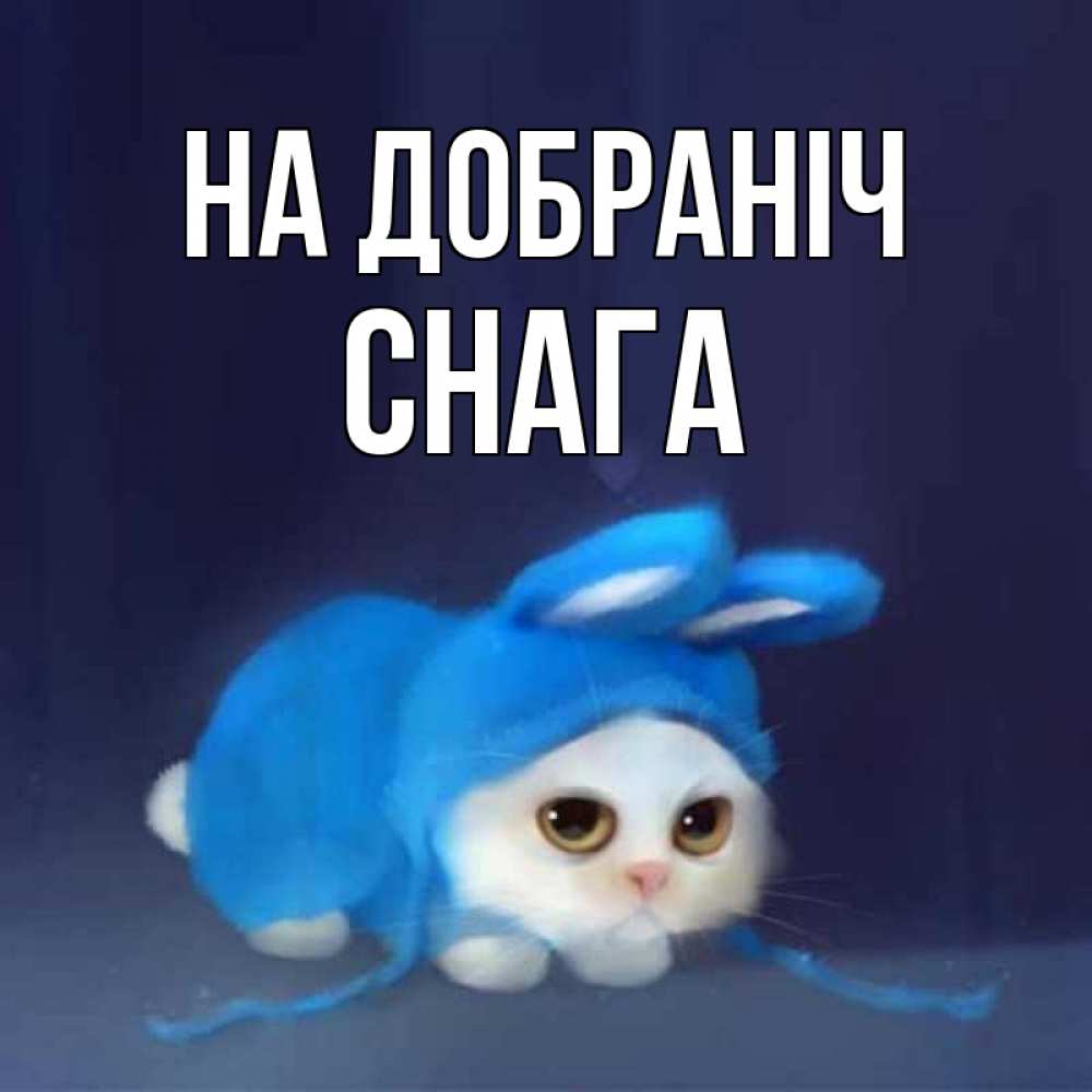 Открытка на каждый день з підписом, Снага На добраніч кот в голубом костюме кролика с ушками Прикольна листівка з побажанням онлайн скачати безкоштовно 