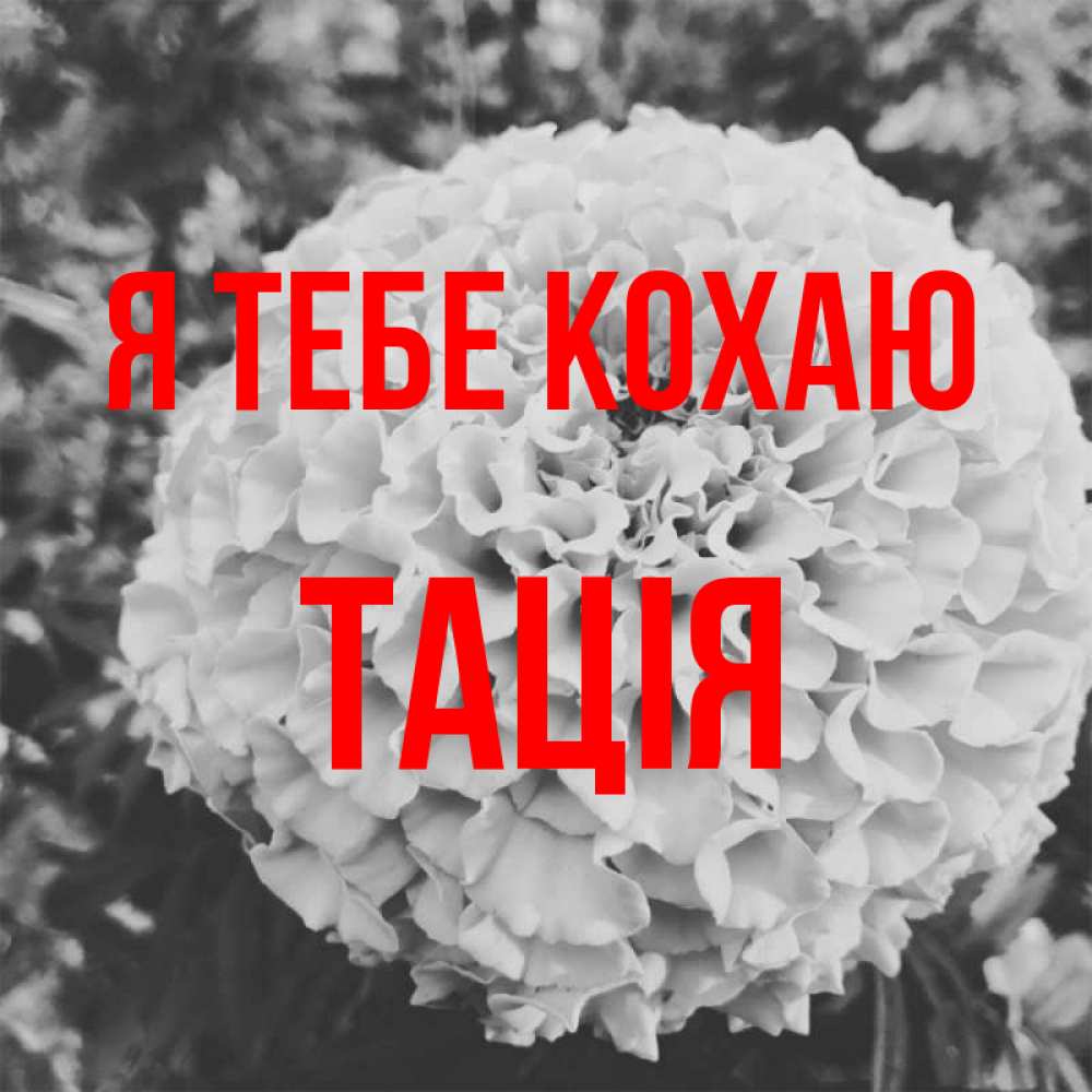 Открытка на каждый день з підписом, Тація Я тебе кохаю подпись Прикольна листівка з побажанням онлайн скачати безкоштовно 