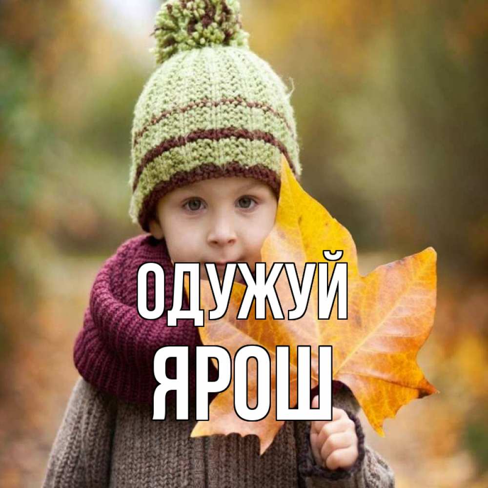 Открытка на каждый день з підписом, Ярош Одужуй дышим свежим воздухом Прикольна листівка з побажанням онлайн скачати безкоштовно 