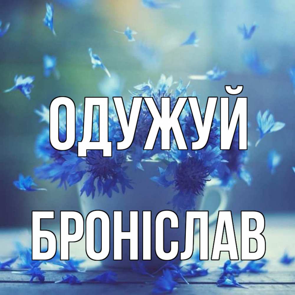 Открытка на каждый день з підписом, Броніслав Одужуй кружка с зельем и цветами Прикольна листівка з побажанням онлайн скачати безкоштовно 