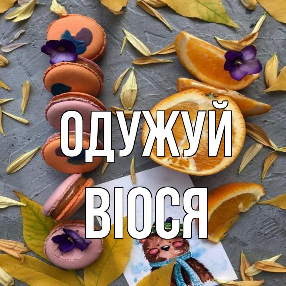 Открытка на каждый день з підписом, Віося Одужуй не болейте Прикольна листівка з побажанням онлайн скачати безкоштовно 