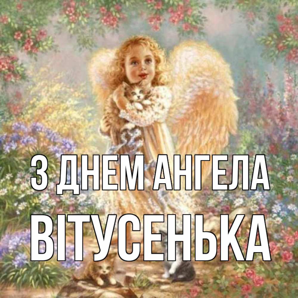 Открытка на каждый день з підписом, Вітусенька З Днем ангела держит котенка Прикольна листівка з побажанням онлайн скачати безкоштовно 