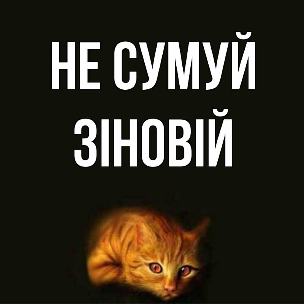 Открытка на каждый день з підписом, Зіновій Не сумуй лежащий кот в темноте Прикольна листівка з побажанням онлайн скачати безкоштовно 