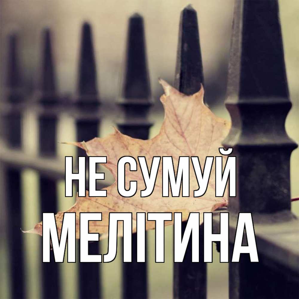Открытка на каждый день з підписом, Мелітина Не сумуй лист клена Прикольна листівка з побажанням онлайн скачати безкоштовно 