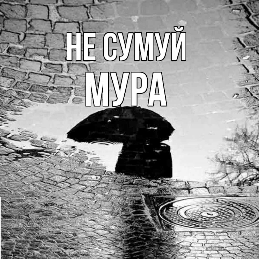 Открытка на каждый день з підписом, Мура Не сумуй отражение в луже Прикольна листівка з побажанням онлайн скачати безкоштовно 