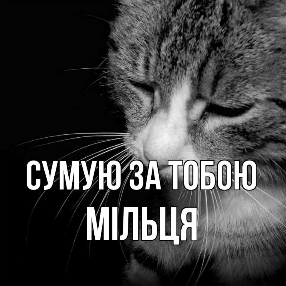 Открытка на каждый день з підписом, Мільця Сумую за тобою мне скучно Прикольна листівка з побажанням онлайн скачати безкоштовно 