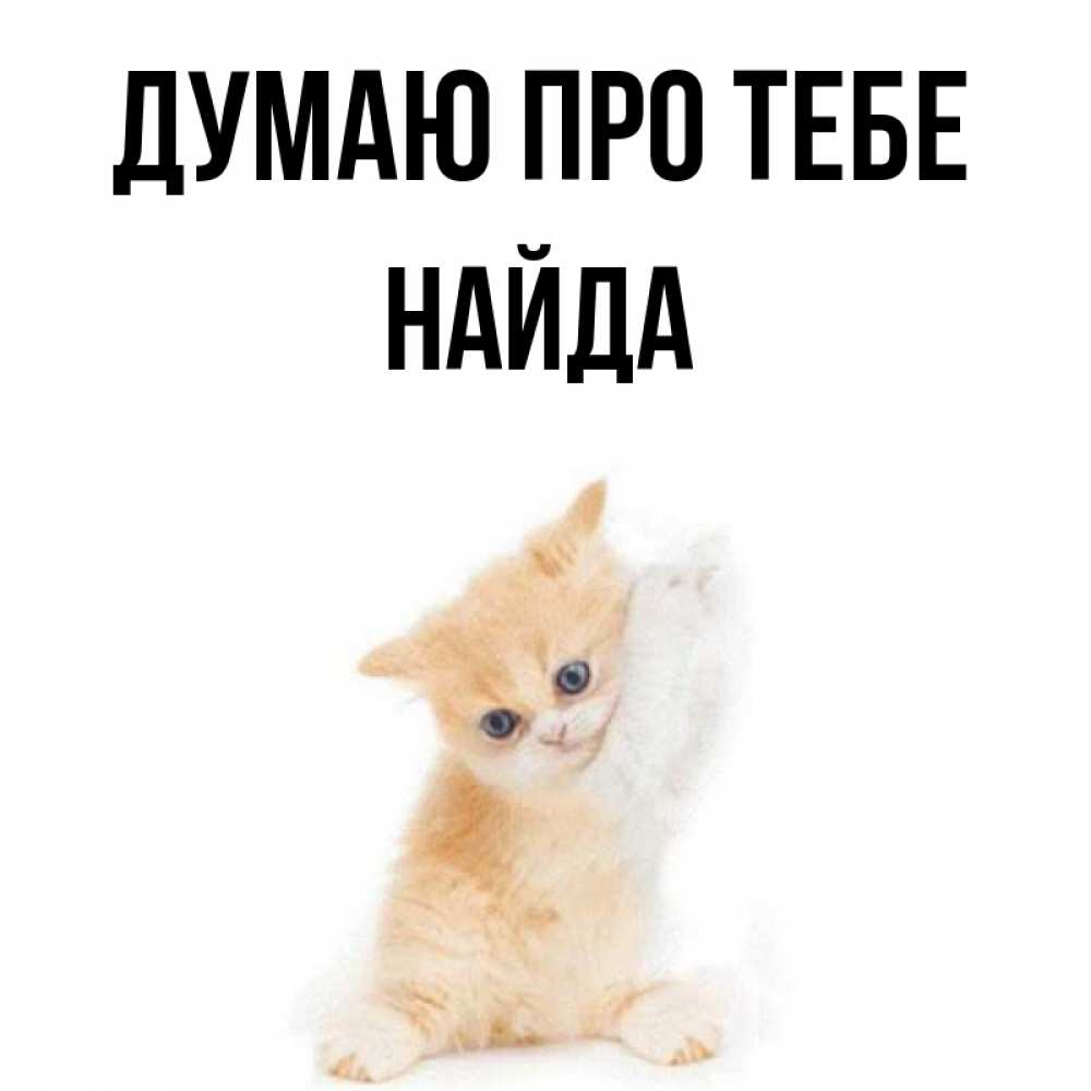 Открытка на каждый день з підписом, Найда Думаю про тебе зверушки и милота Прикольна листівка з побажанням онлайн скачати безкоштовно 