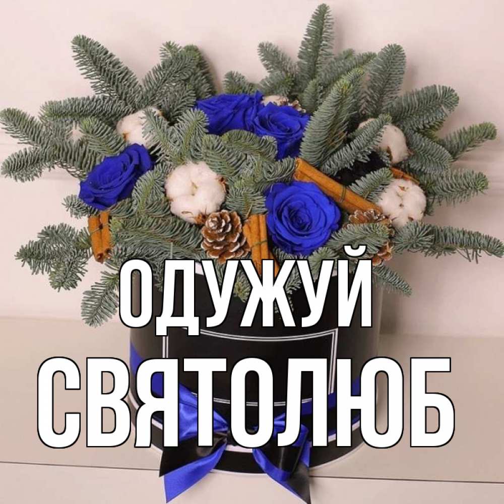 Открытка на каждый день з підписом, Святолюб Одужуй короче кто то загрузил эти шишки Прикольна листівка з побажанням онлайн скачати безкоштовно 