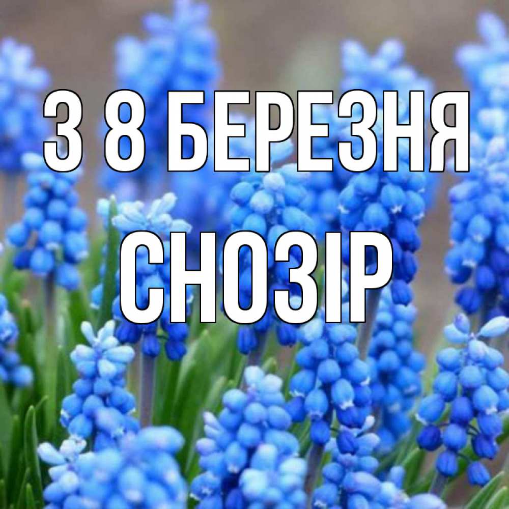 Открытка на каждый день з підписом, Снозір З 8 БЕРЕЗНЯ Поздравительная открытка для женщин с цветами на праздничную дату Прикольна листівка з побажанням онлайн скачати безкоштовно 