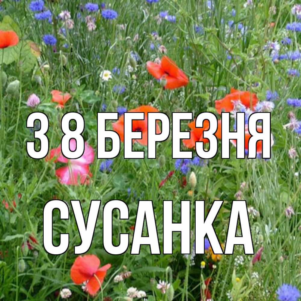 Открытка на каждый день з підписом, Сусанка З 8 БЕРЕЗНЯ международный женский день 4 Прикольна листівка з побажанням онлайн скачати безкоштовно 