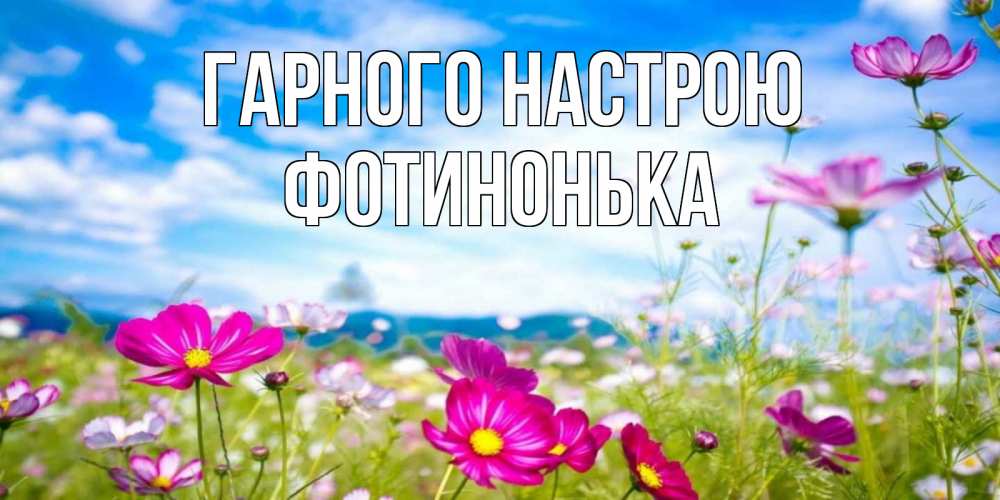 Открытка на каждый день з підписом, Фотинонька Гарного настрою поле цветов Прикольна листівка з побажанням онлайн скачати безкоштовно 