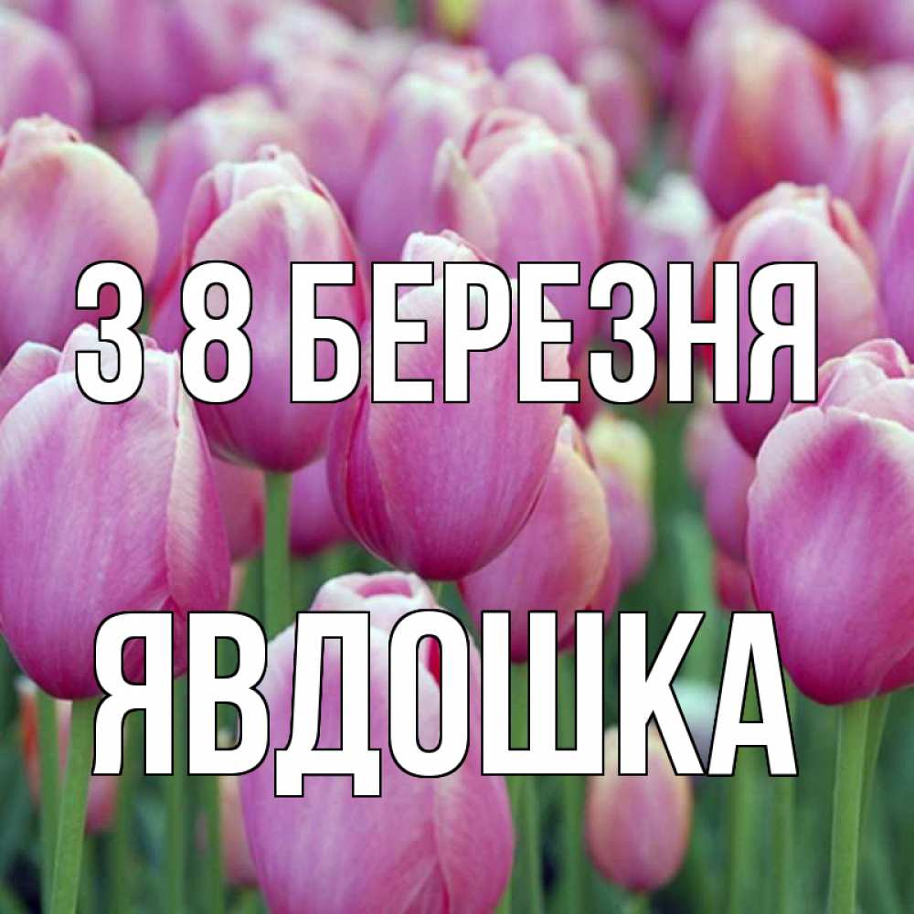 Открытка на каждый день з підписом, Явдошка З 8 БЕРЕЗНЯ на международный женский день 3 Прикольна листівка з побажанням онлайн скачати безкоштовно 