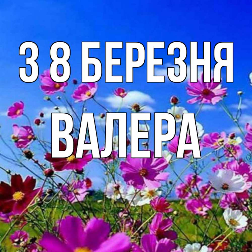 Открытка на каждый день з підписом, Валера З 8 БЕРЕЗНЯ цветы Прикольна листівка з побажанням онлайн скачати безкоштовно 