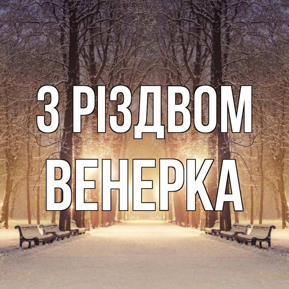 Открытка на каждый день з підписом, Венерка З Різдвом зима, парк, фонарь, лес Прикольна листівка з побажанням онлайн скачати безкоштовно 