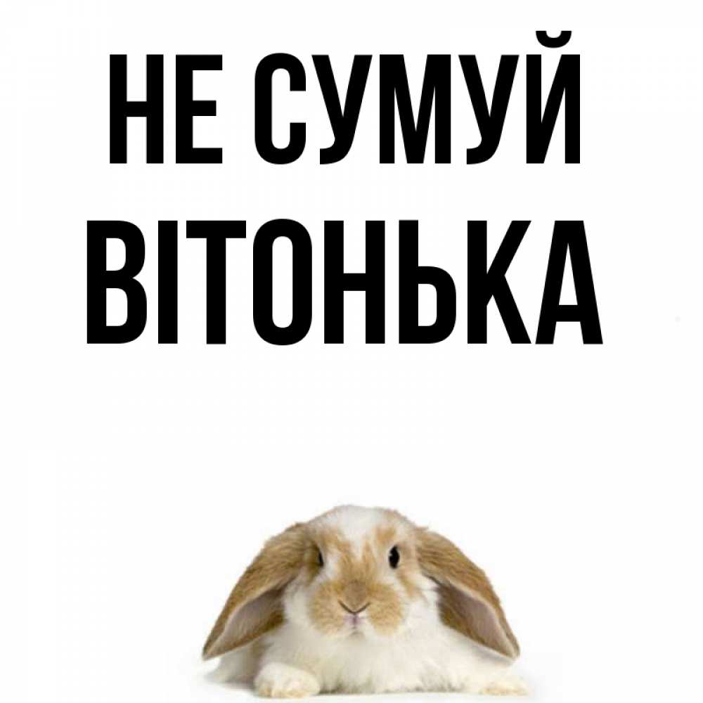 Открытка на каждый день з підписом, Вітонька Не сумуй коричнево белый заяц с большими ушками Прикольна листівка з побажанням онлайн скачати безкоштовно 