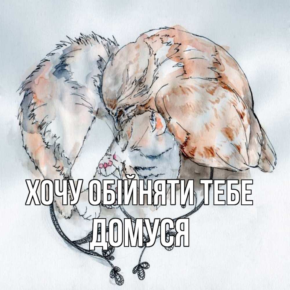 Открытка на каждый день з підписом, Домуся Хочу обійняти тебе можно быть вместе даже когда очень разные Прикольна листівка з побажанням онлайн скачати безкоштовно 