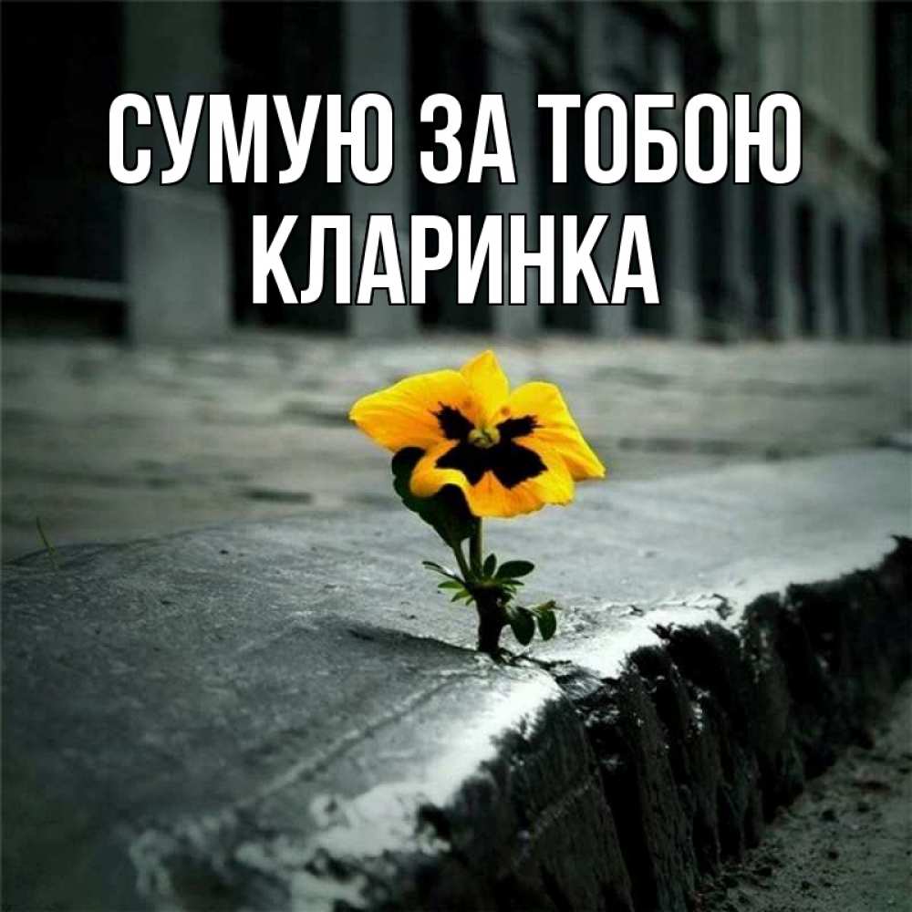 Открытка на каждый день з підписом, Кларинка Сумую за тобою надеюсь будет лучше Прикольна листівка з побажанням онлайн скачати безкоштовно 