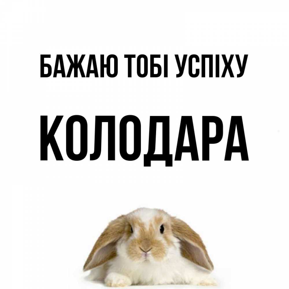 Открытка на каждый день з підписом, Колодара Бажаю тобі успіху открытки с произвольным текстом который можно вставить в открытку и создать ее самостоятельно бесплатно онлайн Прикольна листівка з побажанням онлайн скачати безкоштовно 