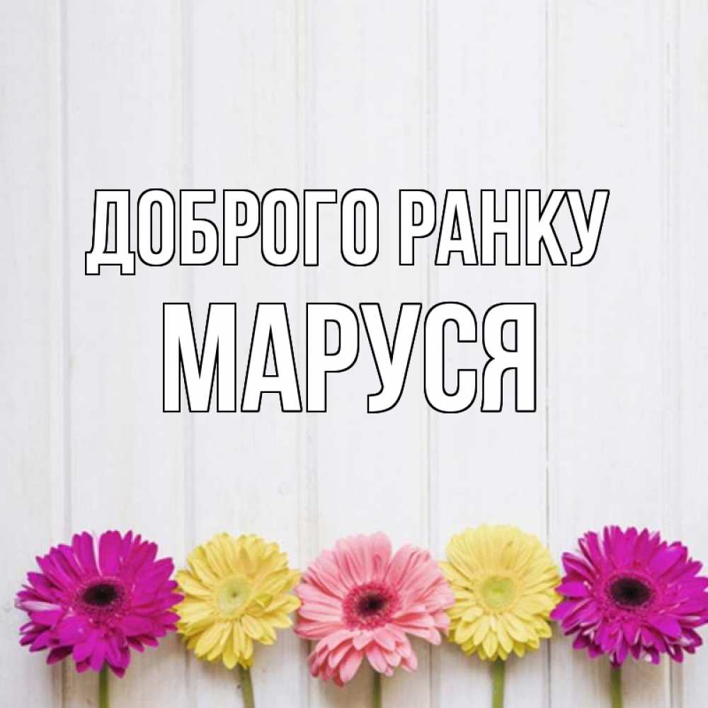 Открытка на каждый день з підписом, Маруся Доброго ранку красный желтый и розовый цветок Прикольна листівка з побажанням онлайн скачати безкоштовно 