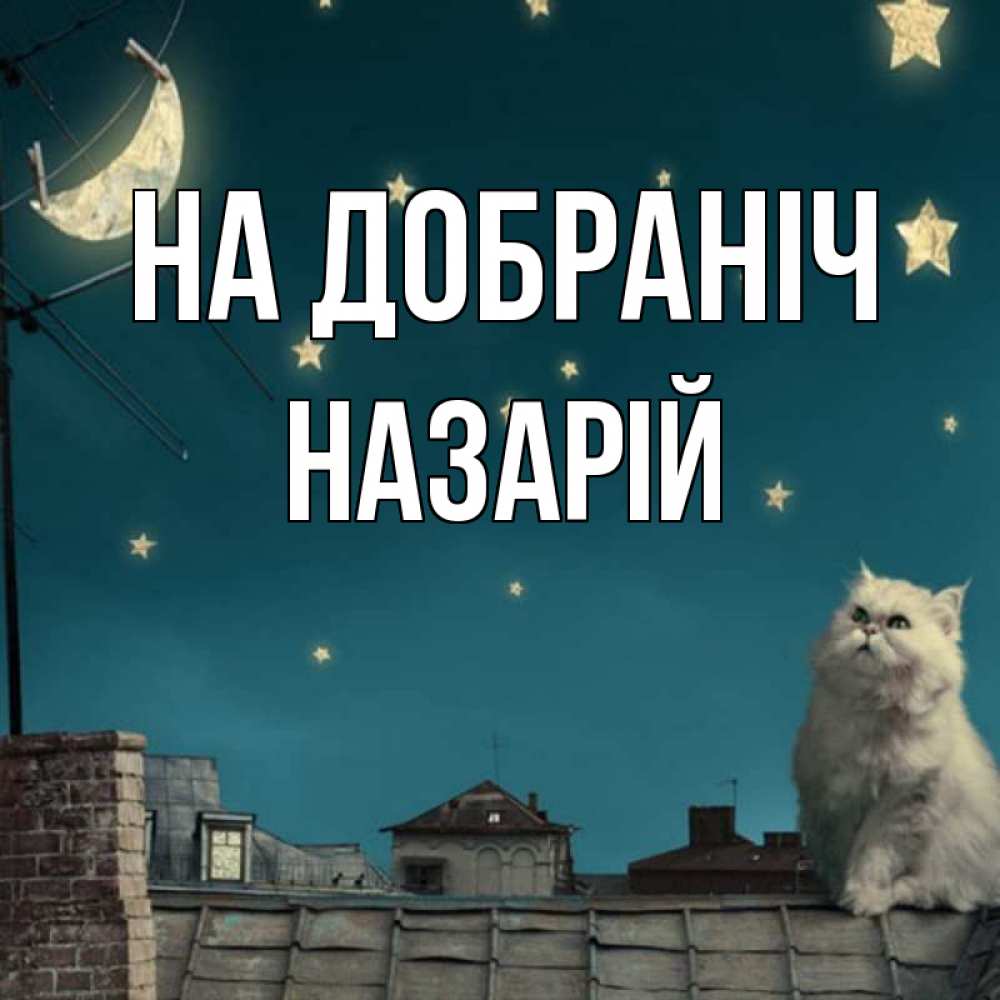 Открытка на каждый день з підписом, Назарій На добраніч белый кот сидит на крыше Прикольна листівка з побажанням онлайн скачати безкоштовно 