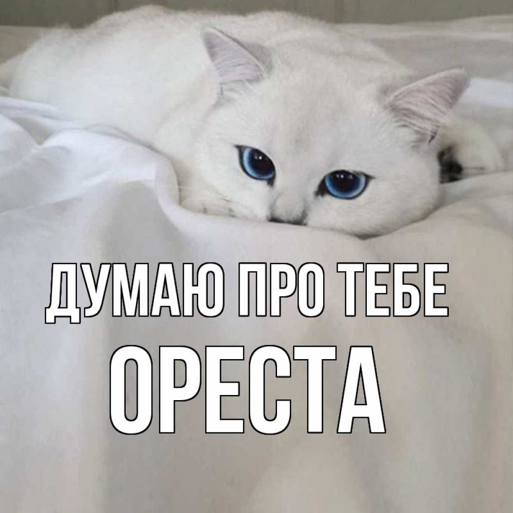 Открытка на каждый день з підписом, Ореста Думаю про тебе я очень по тебе скучаю и тоскую Прикольна листівка з побажанням онлайн скачати безкоштовно 