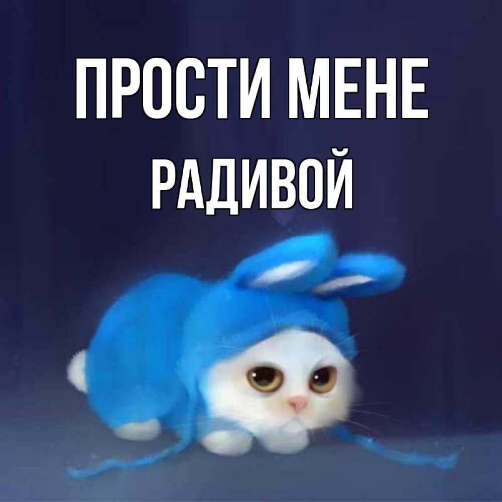 Открытка на каждый день з підписом, Радивой Прости мене невинный котозай просит прощения Прикольна листівка з побажанням онлайн скачати безкоштовно 
