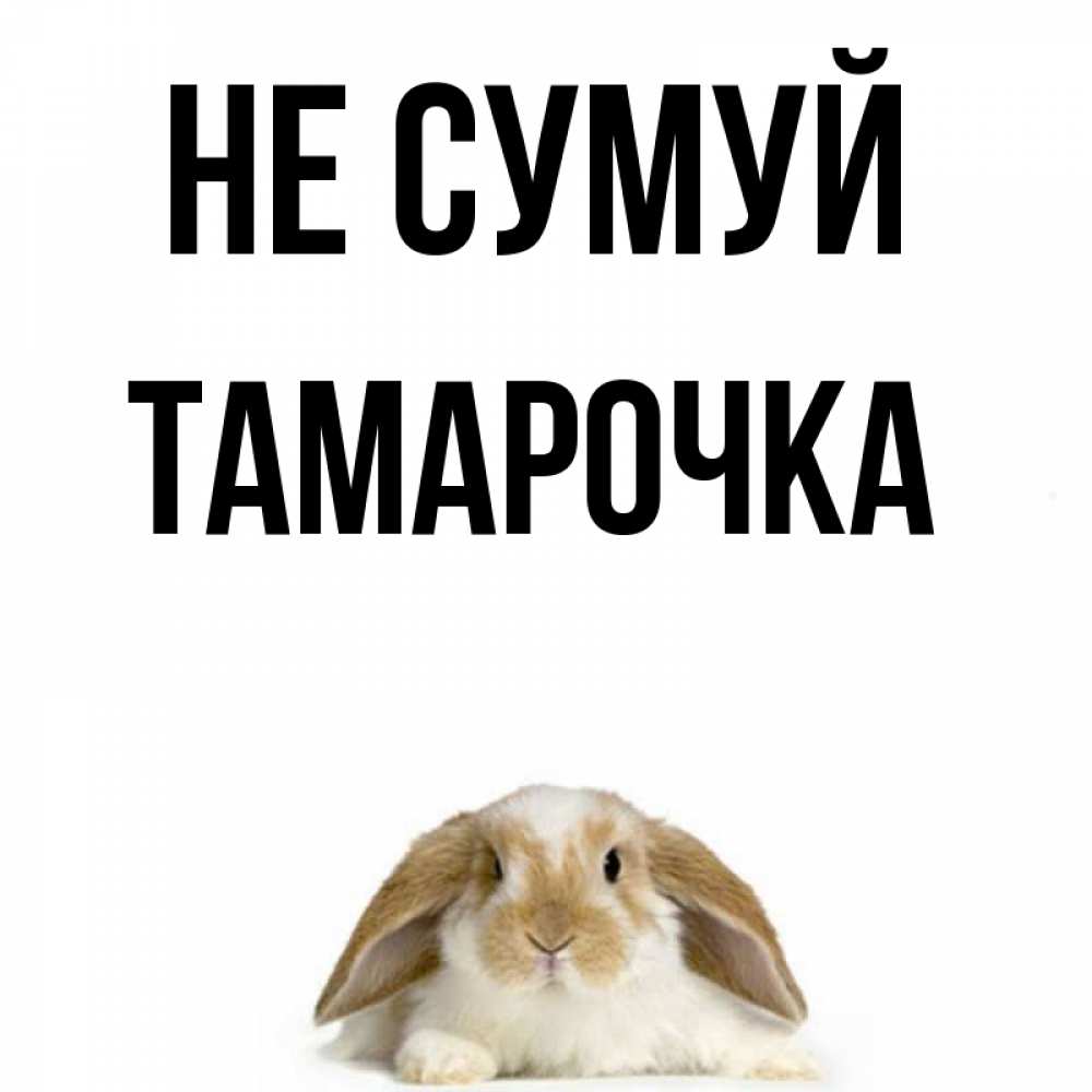 Открытка на каждый день з підписом, Тамарочка Не сумуй коричнево белый заяц с большими ушками Прикольна листівка з побажанням онлайн скачати безкоштовно 