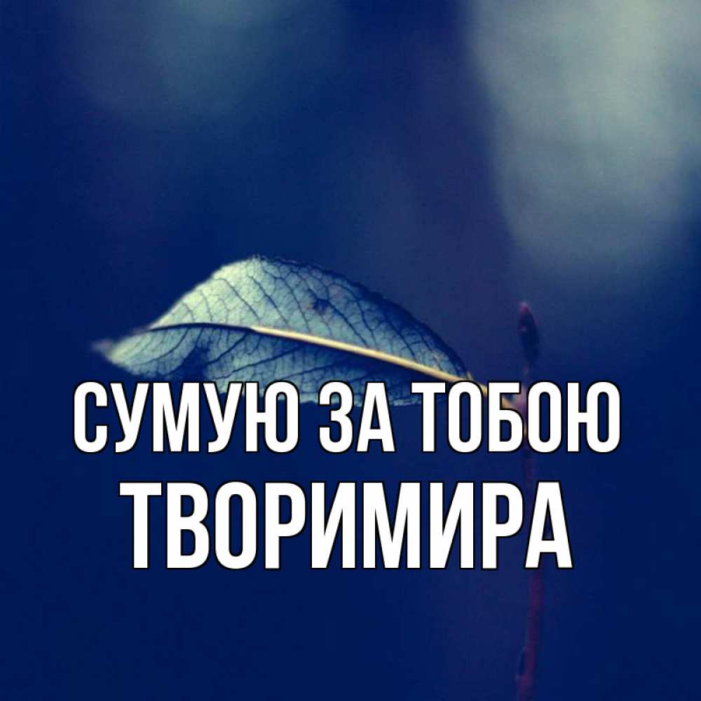 Открытка на каждый день з підписом, Творимира Сумую за тобою одна ветка 1 Прикольна листівка з побажанням онлайн скачати безкоштовно 