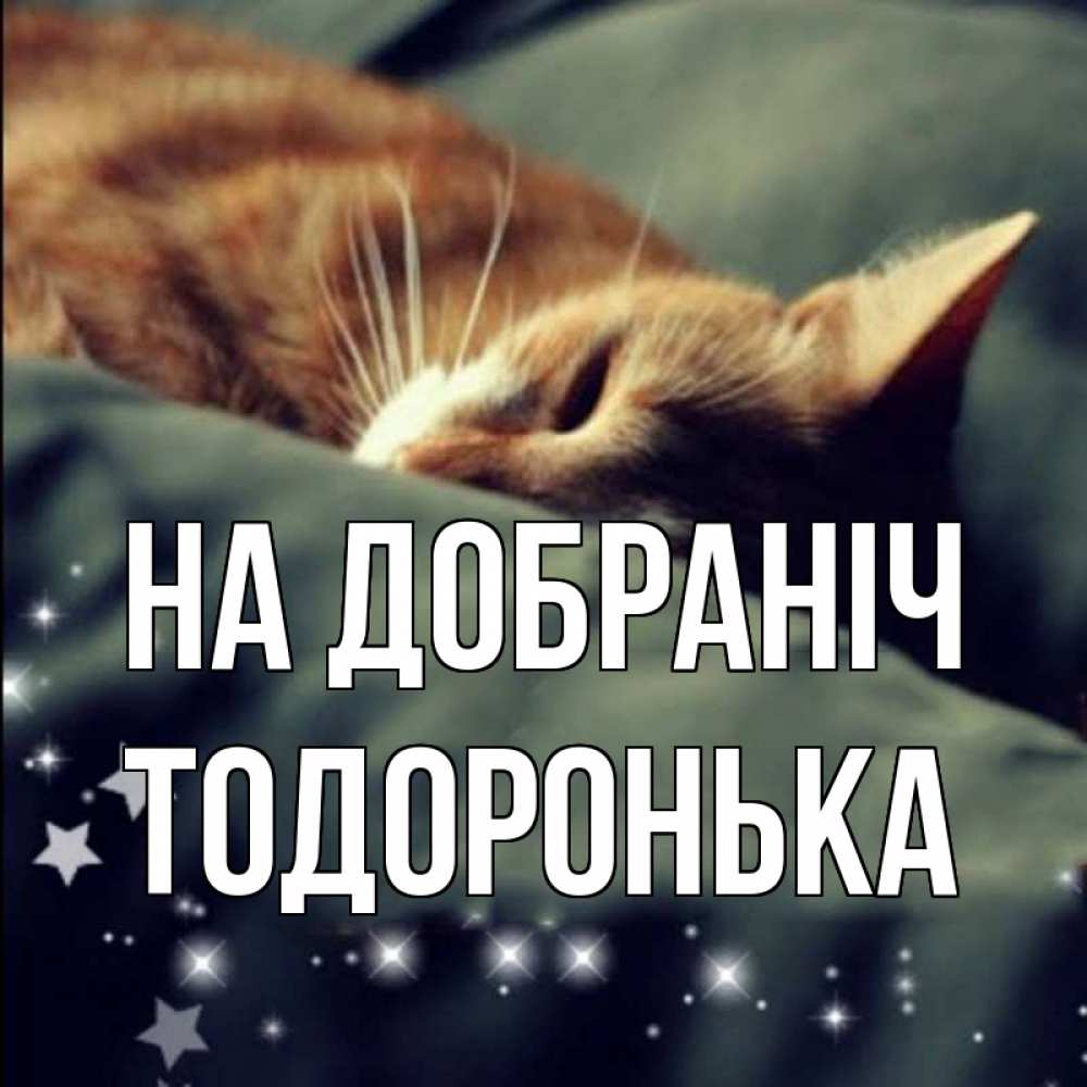 Открытка на каждый день з підписом, Тодоронька На добраніч кроватка Прикольна листівка з побажанням онлайн скачати безкоштовно 