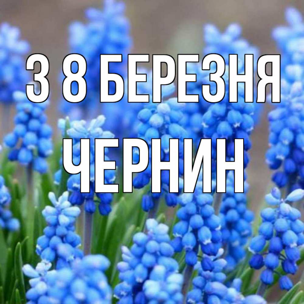 Открытка на каждый день з підписом, Чернин З 8 БЕРЕЗНЯ Поздравительная открытка для женщин с цветами на праздничную дату Прикольна листівка з побажанням онлайн скачати безкоштовно 
