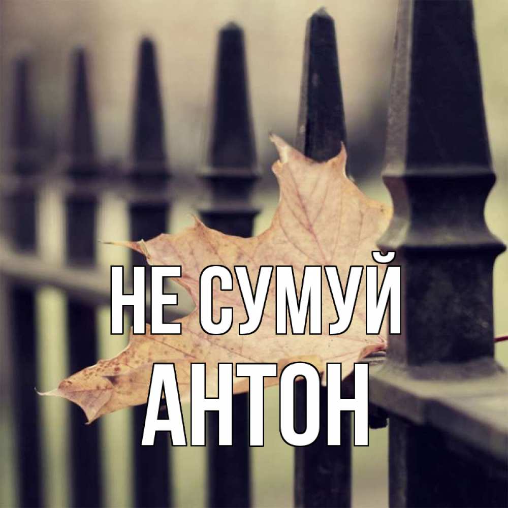 Открытка на каждый день з підписом, Антон Не сумуй лист клена Прикольна листівка з побажанням онлайн скачати безкоштовно 