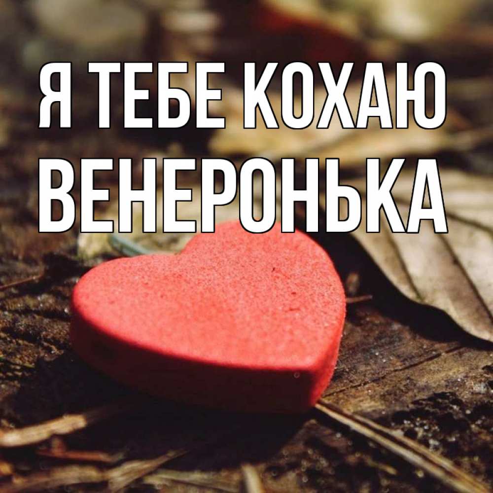 Открытка на каждый день з підписом, Венеронька Я тебе кохаю листья деревье 4 Прикольна листівка з побажанням онлайн скачати безкоштовно 